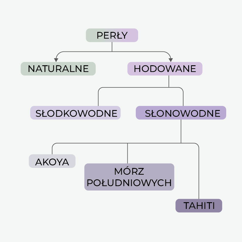 Schemat podziału pereł w jubilerstwie